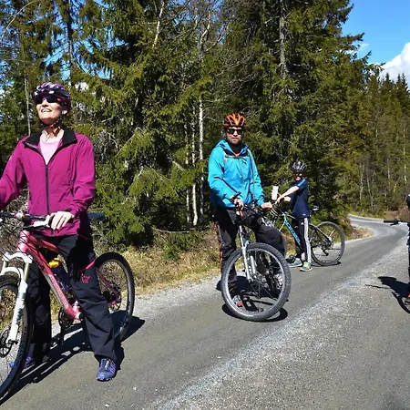 Topcamp Onsakervika - Tyrifjorden 3* Svensrud