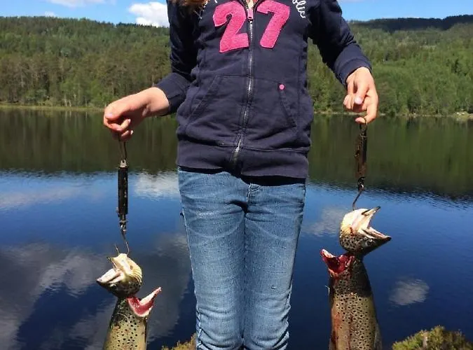 Aldeamento Turístico Topcamp Onsakervika - Tyrifjorden Svensrud